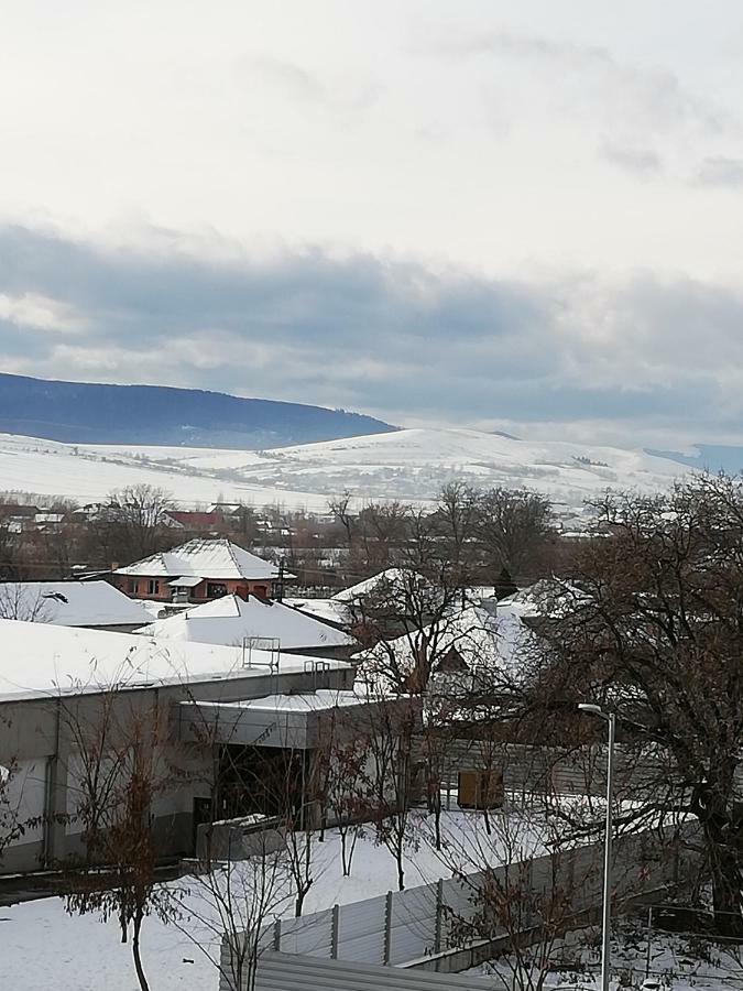 Pensiunea La Safari Târgu Neamţ Exterior foto